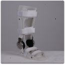 에이에프오 이미지