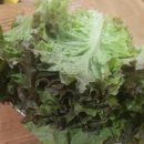 야순네식당 이미지