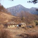 마음에고향 이미지