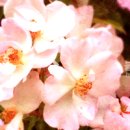 테그24 앞 이미지