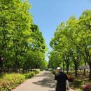 시낭공원 이미지