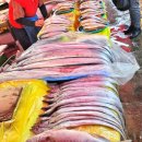 칠성진시장 이미지