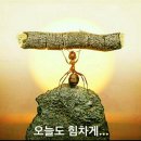 이경숙할머니음식점 이미지