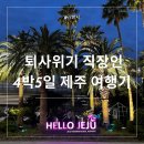 어바웃 댕댕 | [6월 제주] 4박5일 여름 제주도 퇴사 극복 여행기 DAY4_2