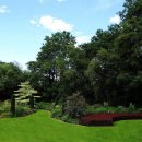 생각이 자라는 나무 이미지