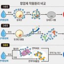 폐암에 대하여 ③항암화학요법(항암화학치료,항암치료) 이미지