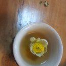 (주)보향다원 이미지