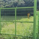 구룡낚시