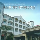 노벨세탁소 | 소노벨 제주 코인세탁기 미취사 패밀리 클린룸 4인가족 후기