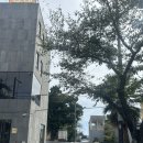 산방산탑부동산공인중개사사무소 이미지