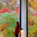광여로L | 경기도 광주 &amp; 수원 / 가을의 광주 가볼만한 곳🍁(스멜츠, 화담숲, 2023 화담숲가을축제, 화담숲 예약...