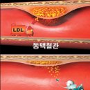 서울숲코오롱디지털타워 이미지