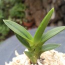 두엽농장 이미지