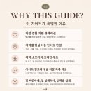 노마드포레스트5 | 발리? 신혼여행지인 줄 알았는데 직접 가보니 달랐습니다 (꼭 해야 할 10가지) | 왜 다들 한달씩 살고...