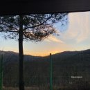 예손농원캠핑장 이미지