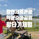 악양 승마장 | 함안관광 경남 말타기 악양승마공원 내돈내산 체험 후기