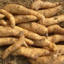 천마 흑염소 농장 이미지