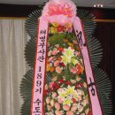 유일환 이미지