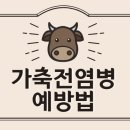 수가축인공수정소 이미지