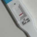 얼리임테기 매직아이 | 매직아이 임신 | 대추밭한의원 임신성공 | 대추밭 임신