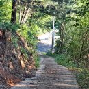 사리마을회관 이미지