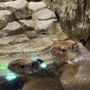 서광리-16 이미지