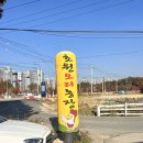 초원농장 | 파주 헤이리마을 오리주물럭 맛집_ 초원오리농장