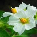 학장중학교 이미지