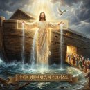 예비된방주1 이미지