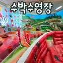 광주서산초등학교 | 광주 북구 오치동 초등학교 병설유치원 찾아오는 여름 원내체험행사 &#34;수박수영장&#34;