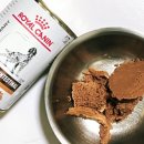 아이캔유통 | 만성 췌장염 반려견의 주식, 로얄캐닌 로우펫 습식 캔 솔직 후기