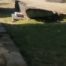 그림그리는