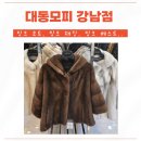 대동의류 앞 | 밍크코트 밍크베스트 밍크재킷 올 겨울 필수템 대동모피 강남점에서 준비하세요