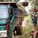 강씨농장 이미지