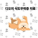 디오 동물병원 이미지