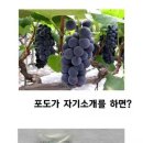 진량고등학교