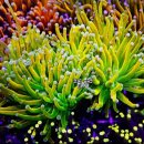 평택2로 이미지