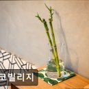 동강로 | 영월 숙소 추천 에코빌리지 영월 숙소 에코빌리지, 친환경 체험