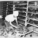 옛날예적에 이미지