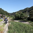호명천 Daum카페