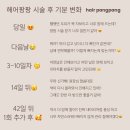 명지헤어라인