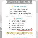 냥이싸롱 - 중구 대종로480번길 40 | 냥이싸롱