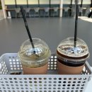 리앤드딩 | 동탄 넓은 잔디운동 애견카페 '리앤드딩' 내돈내산 솔직 후기(주차, 퍼푸치노 맛집)