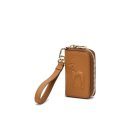 브라운퍼피 이미지