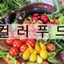 창성메디칼 이미지