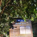 태종대 복어약수터 이미지