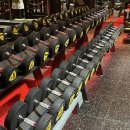 익스트림피트니스 이미지