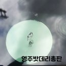 영주차유리