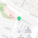 황박사목포쫀디기목포종합버스 이미지