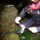 바보농장 이미지